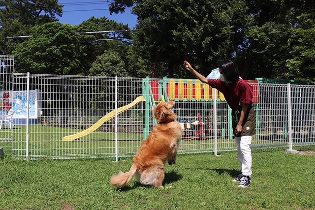 オープンカフェ ドッグラン ガーデンバーベキュー